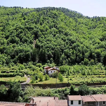 Panoramic With Balcony And Terrace