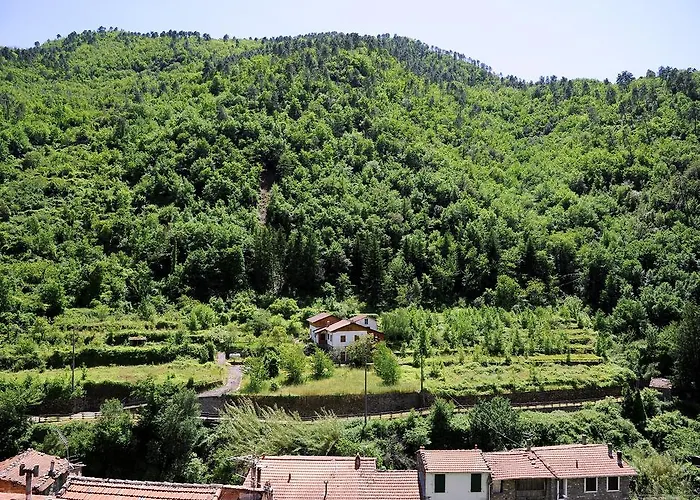 Panoramic With Balcony And Terrace
